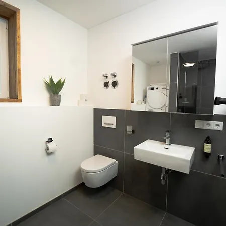 Luxusferienwohnung Mit Sauna - Neubau