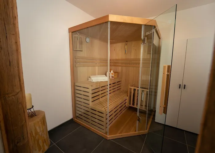 Luxusferienwohnung Mit Sauna - Neubau Apartment